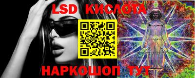 мет Кингисепп