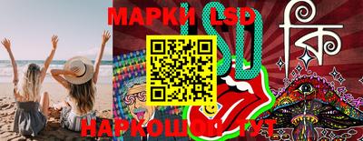 мет Кингисепп