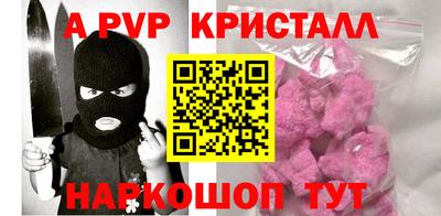 мет Кингисепп