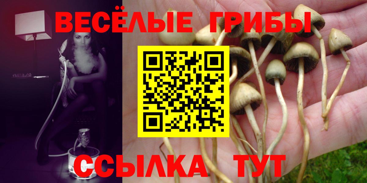 Псилоцибиновые грибы MAGIC MUSHROOMS Камышлов