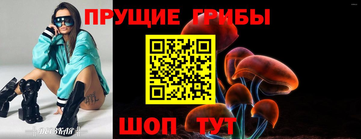 Галлюциногенные грибы Magic Shrooms  купить   Камышлов  Вход с VPN 