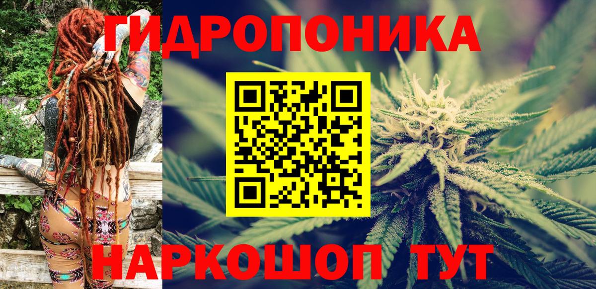 Камышлов  Бошки марихуана планчик  Канабис Ganja  Конопля индика  Вход с VPN  Канабис White Widow 